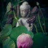 Bali Retreat - Image 3