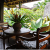 Bali Retreat - Image 7